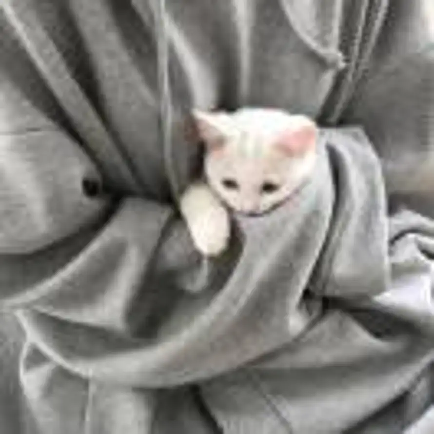 句点的头像
