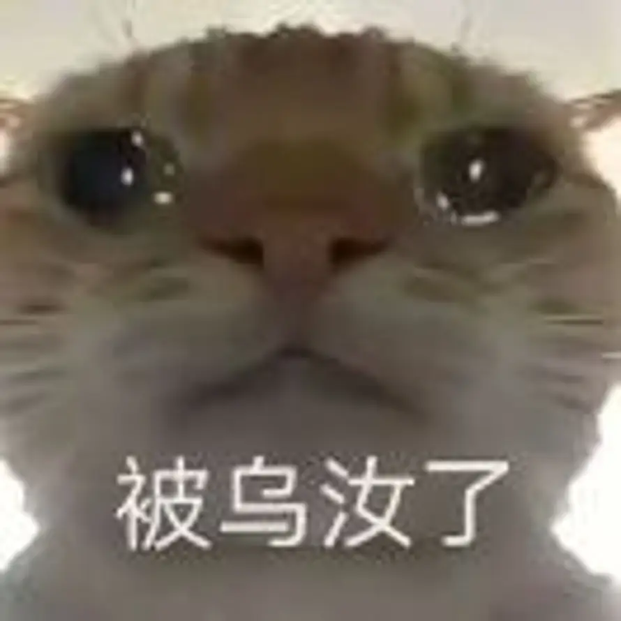 小猫666 的头像