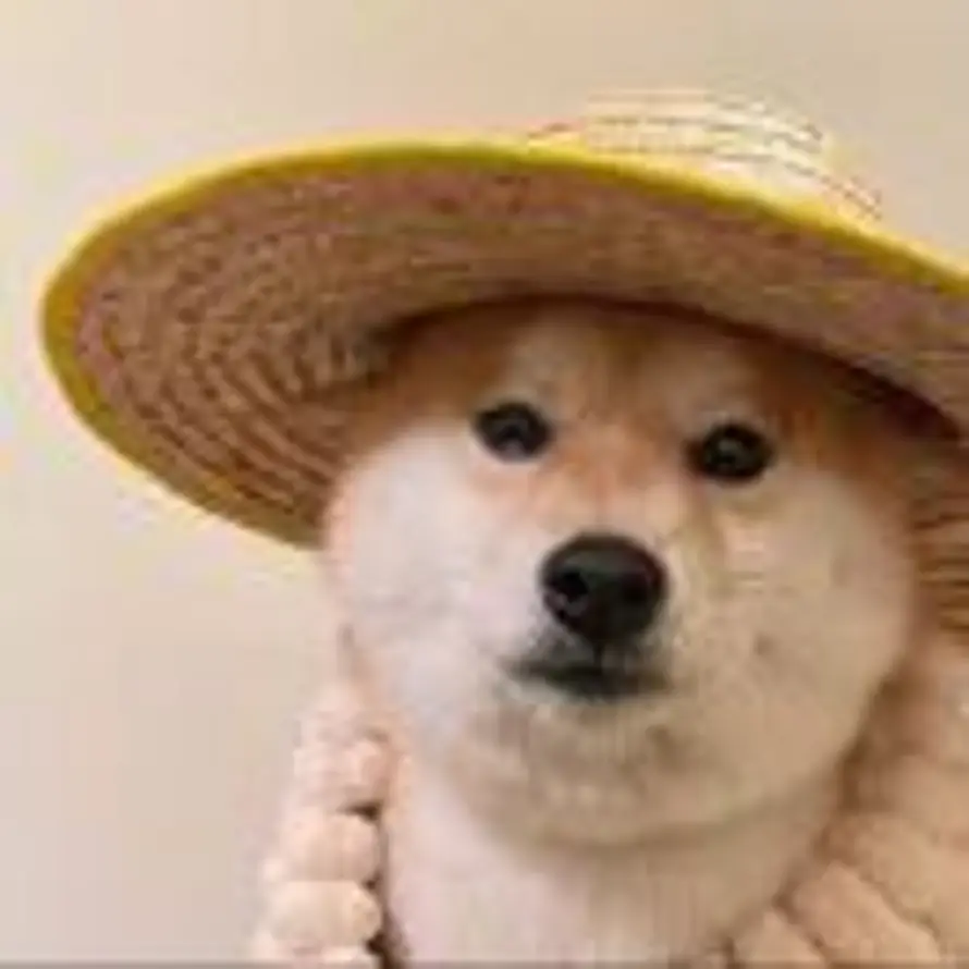 晓风ღ的头像