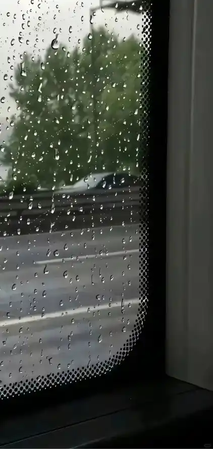 4k树木壁纸 - 水雾 - 绿植 - 街景「哲风壁纸」