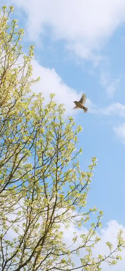 主题背景图片
