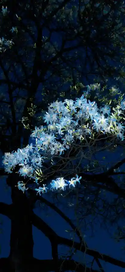 4k光影壁纸 - 夜晚 - 夜空 - 树影「哲风壁纸」