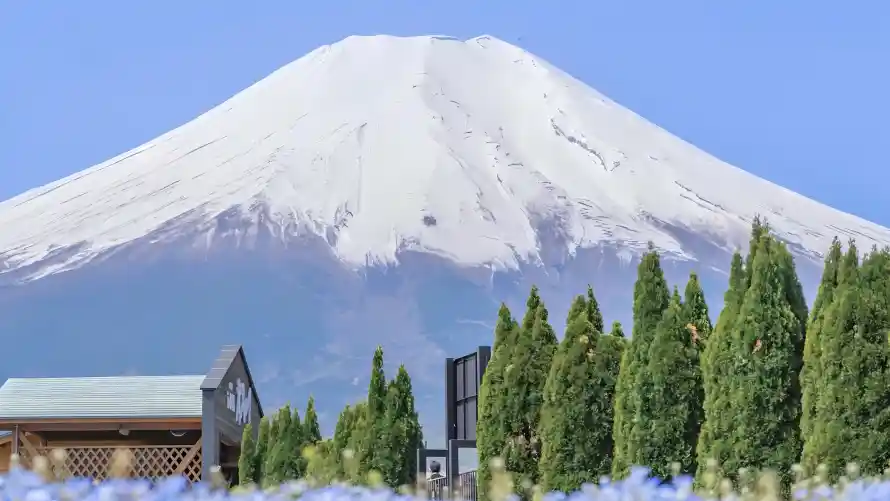 4k户外壁纸-富士山和旅行-日本景点壁纸分享「哲风壁纸」