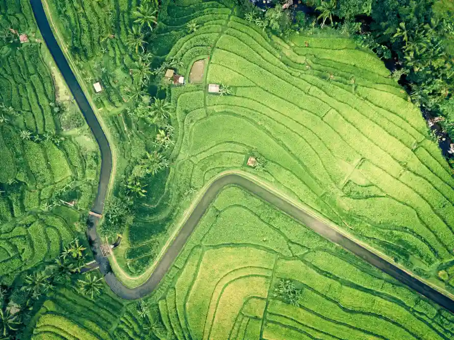 4k丘陵壁纸 - 乡村 - 小路 - 梯田「哲风壁纸」