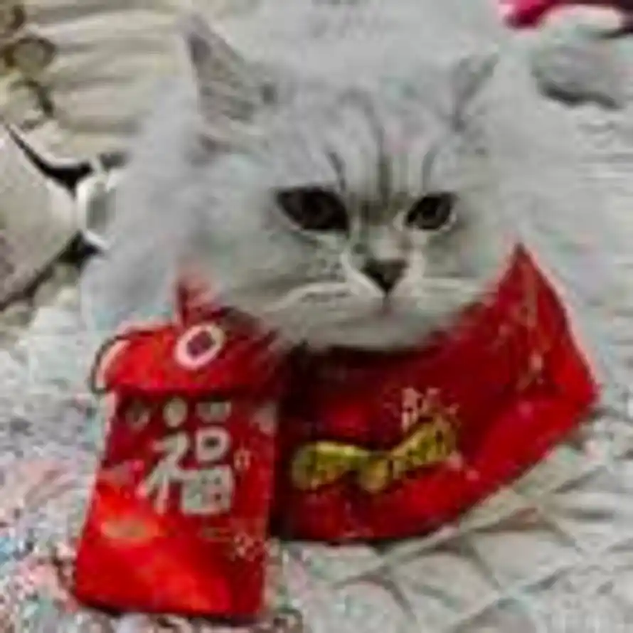 .的头像