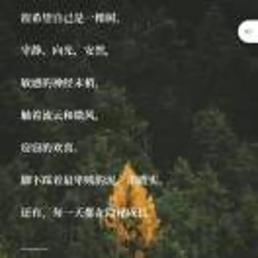 Wasser  王奕的头像