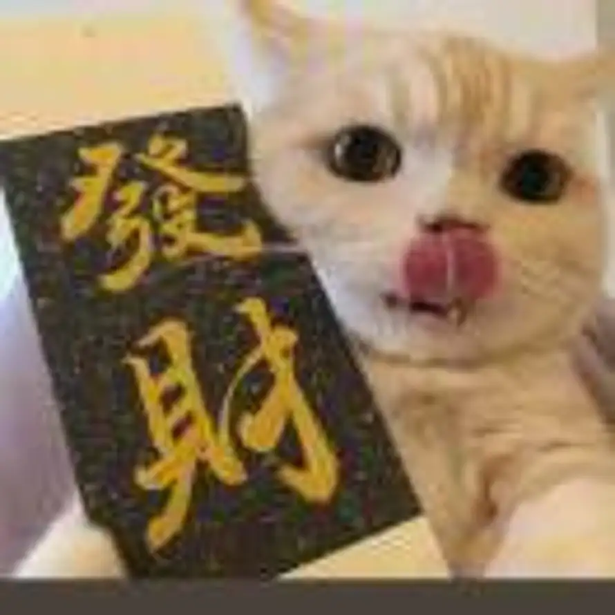 不吃魚的貓的头像