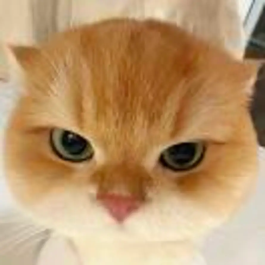 高喵喵💌的头像