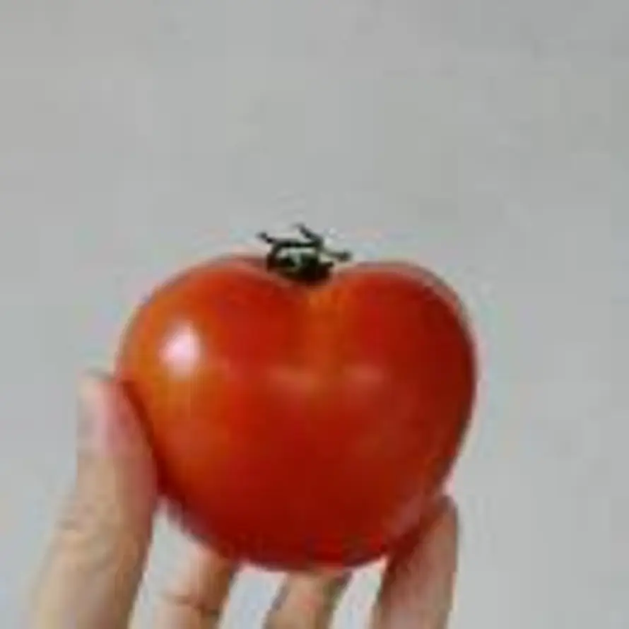L的头像