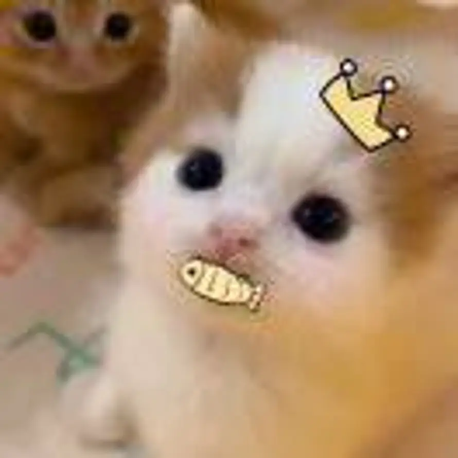 IHH的头像