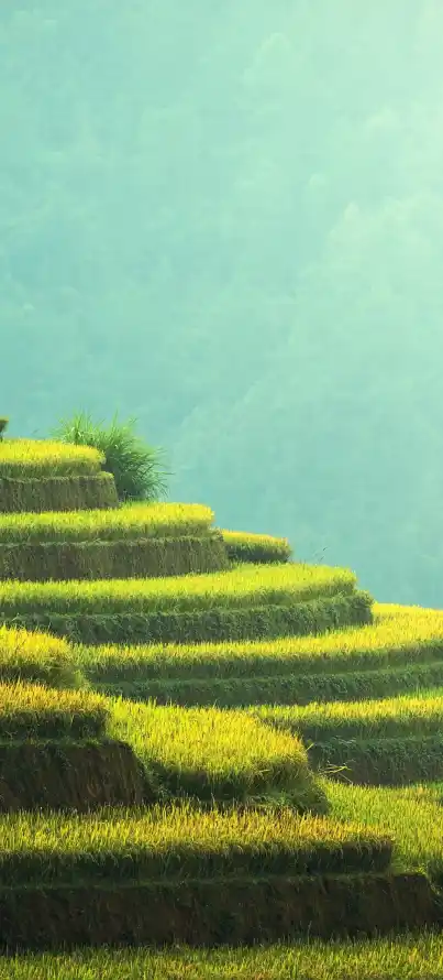 4k丰收壁纸 - 乡村 - 山林 - 山野「哲风壁纸」