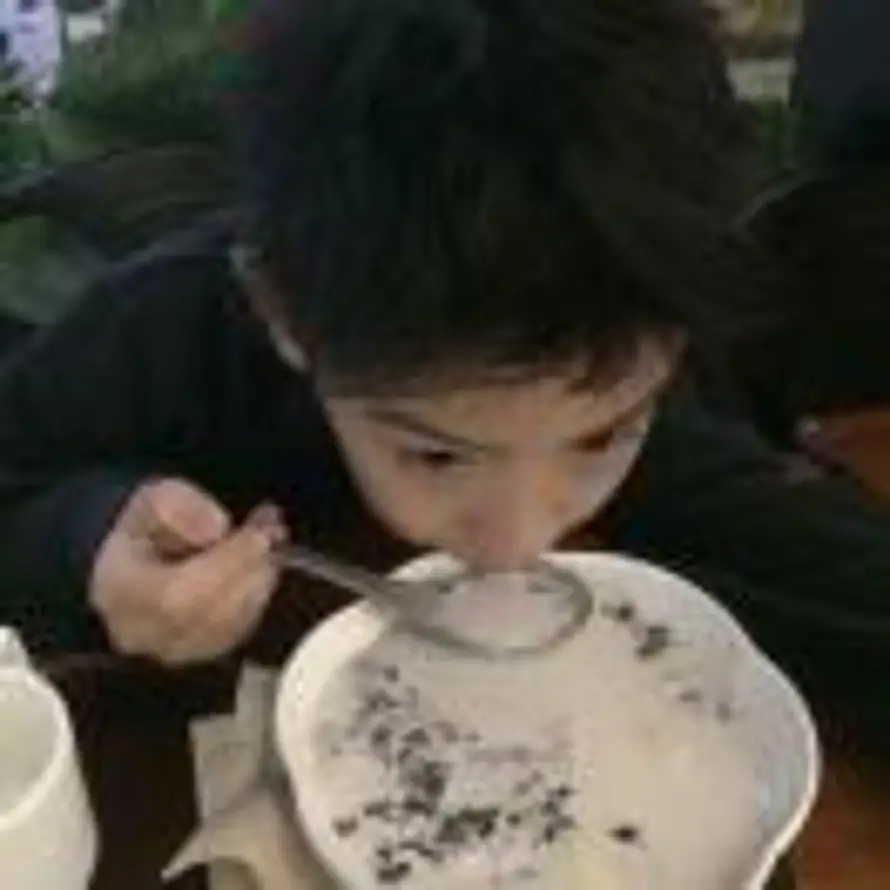 菠萝.的头像