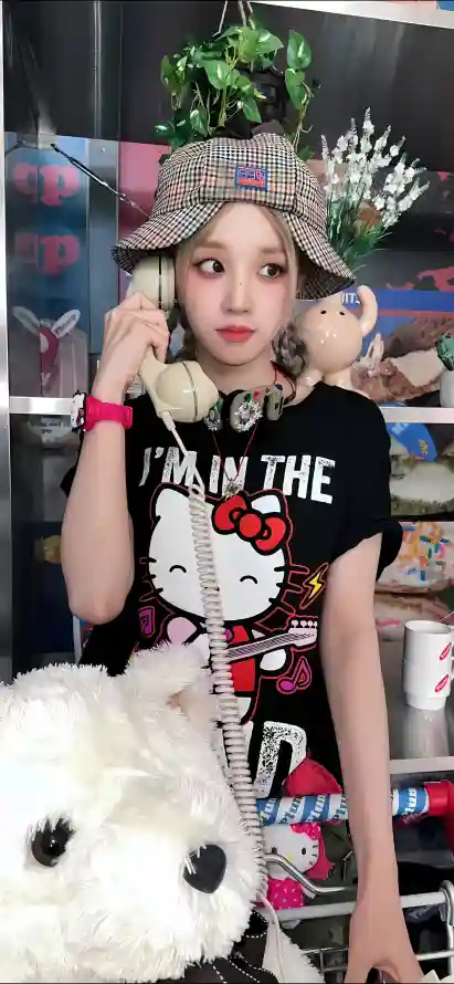 4k室内壁纸 - 玩偶 - 绿植 - 卡蒂猫「哲风壁纸」