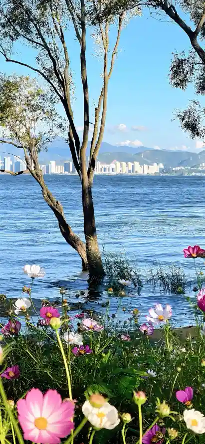 4k大理壁纸 - 晴空 - 树木 - 水草「哲风壁纸」