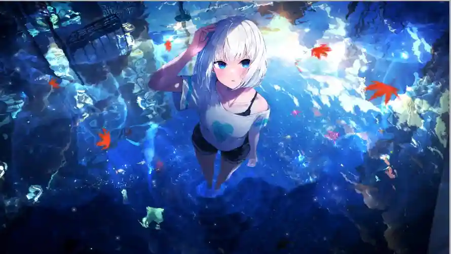 最喜欢的图像
