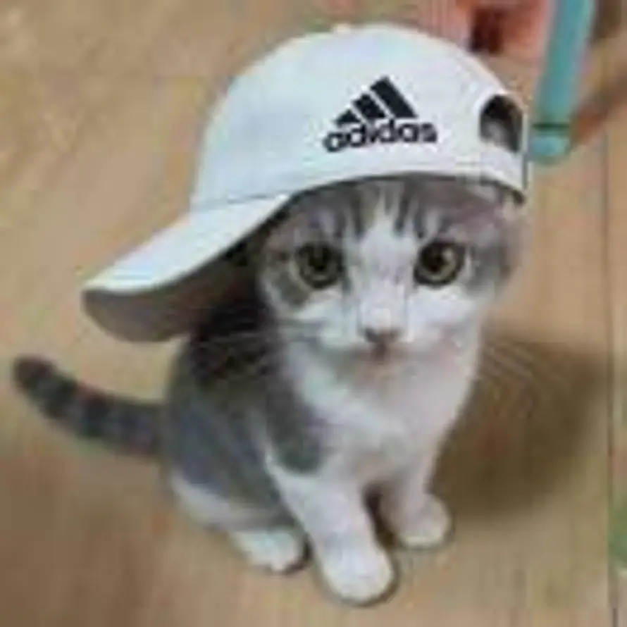 内耗害死自己的头像