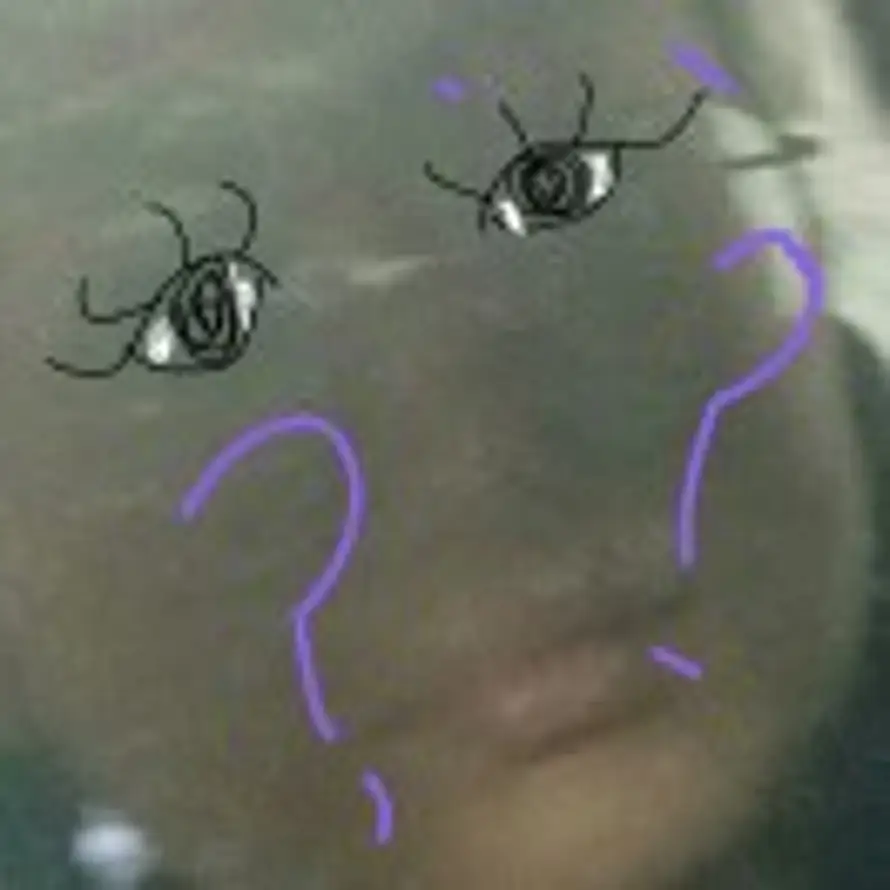ggggg 的头像