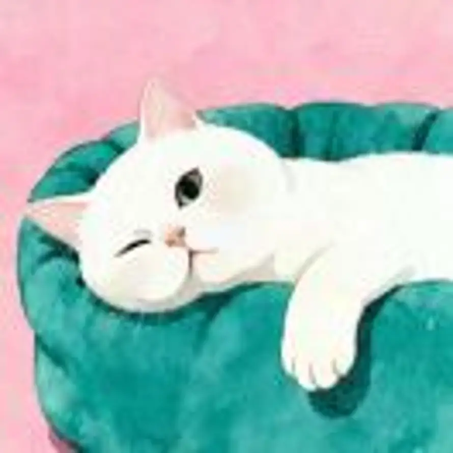 猫柒柒的头像