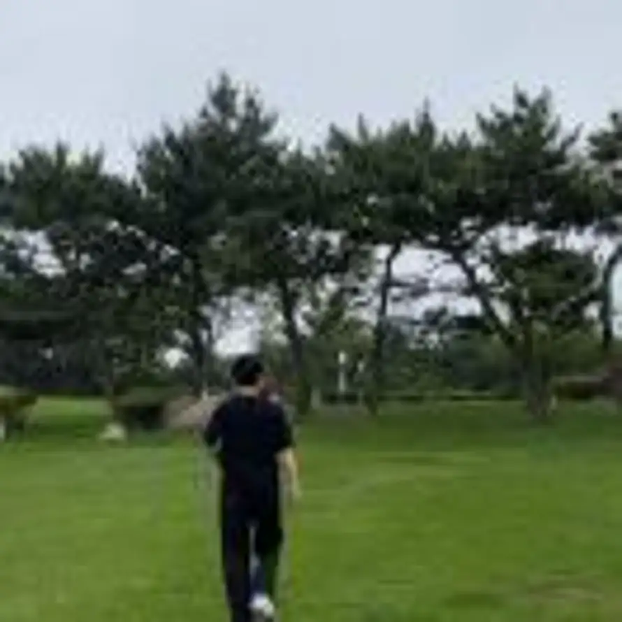 张洪鹏的头像