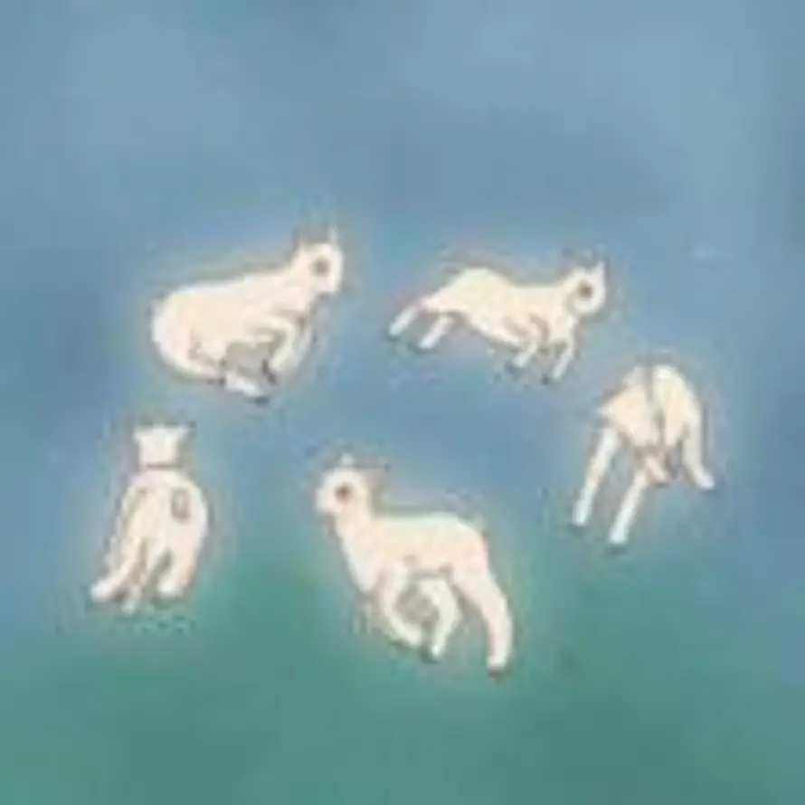 Moshin.的头像