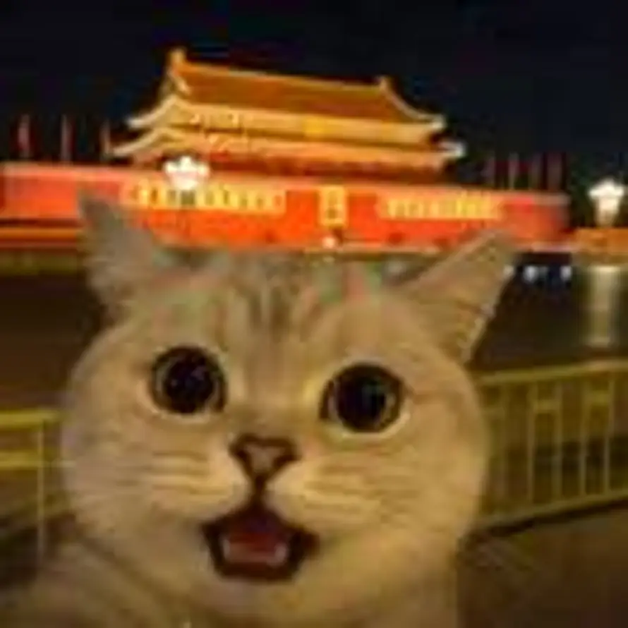 小李的头像