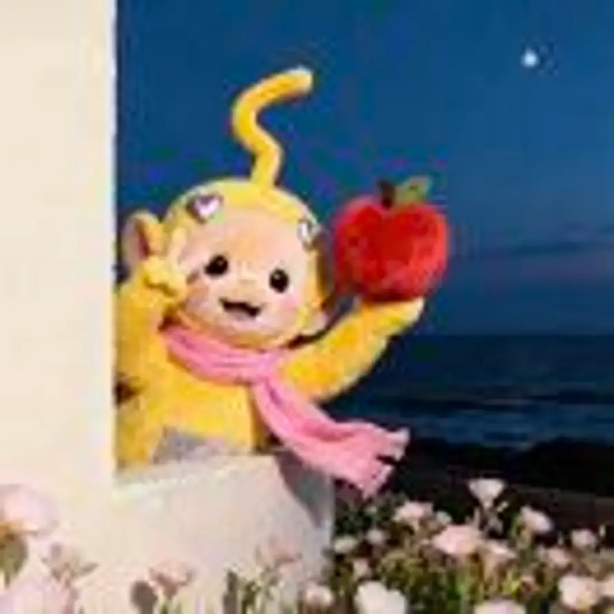 不秋的头像