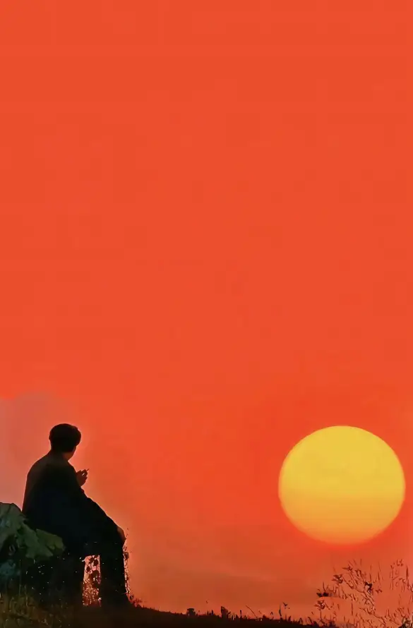 4k剪影壁纸 - 夕阳 - 户外 - 落日「哲风壁纸」