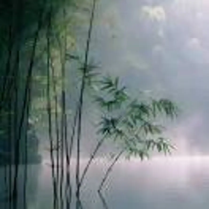 王勇的头像