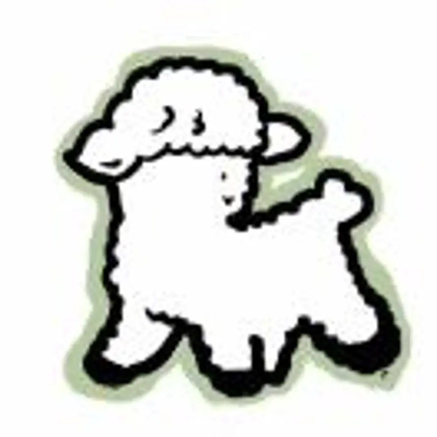 鄢孟浩的头像