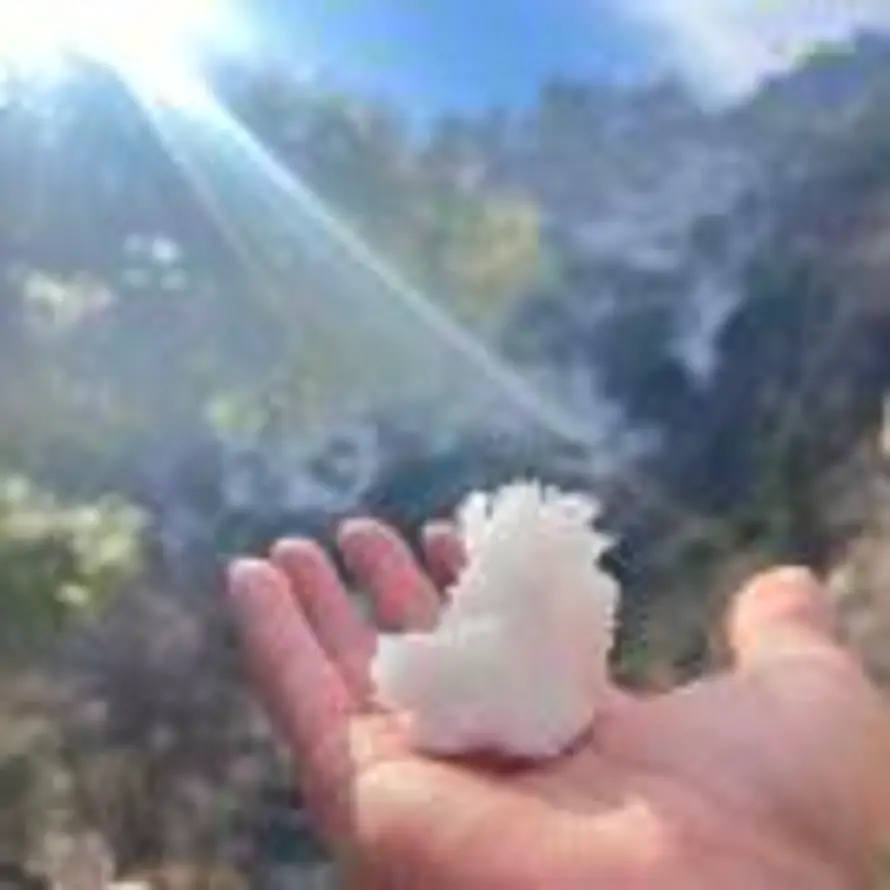 陳靈～的头像