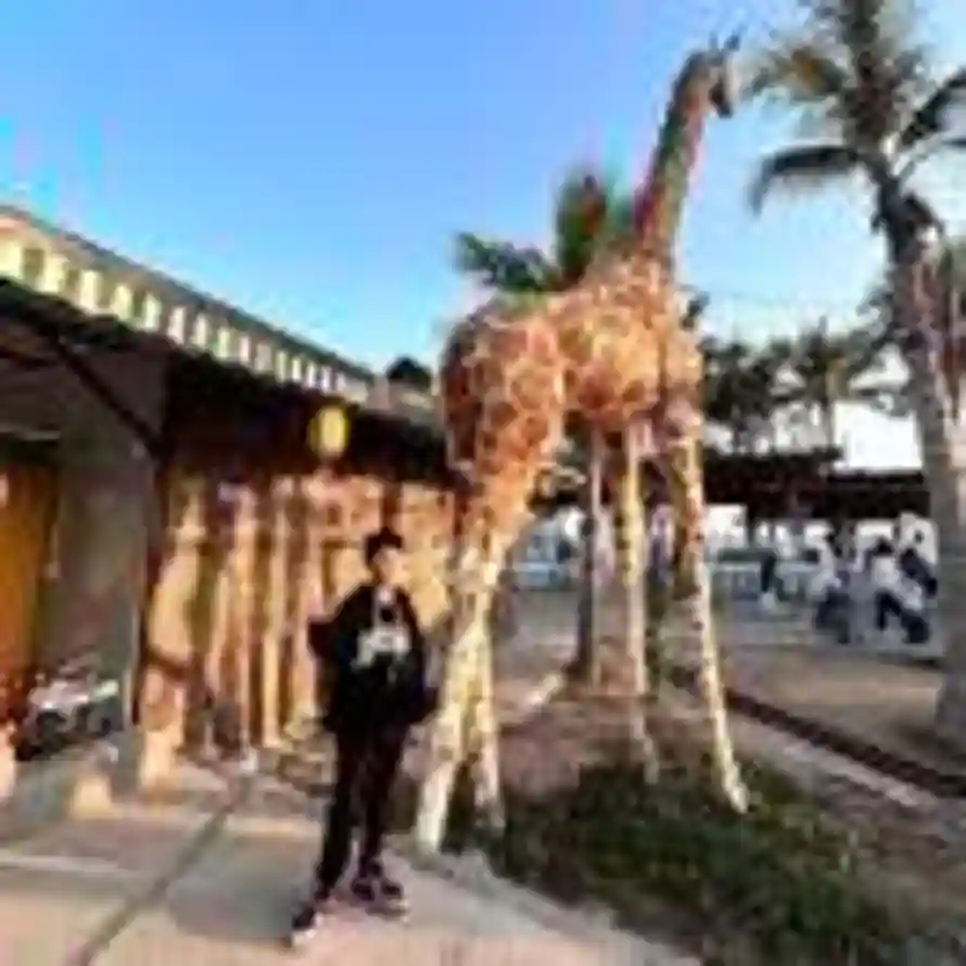 枝的头像