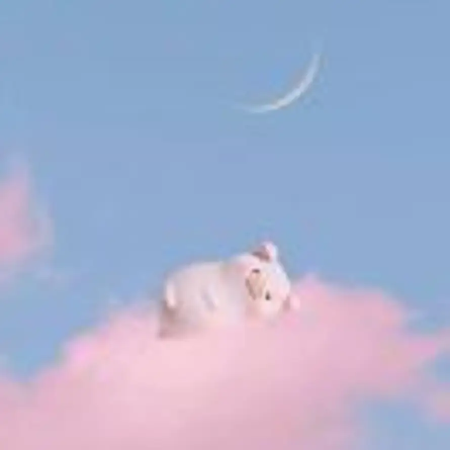 丸子的头像