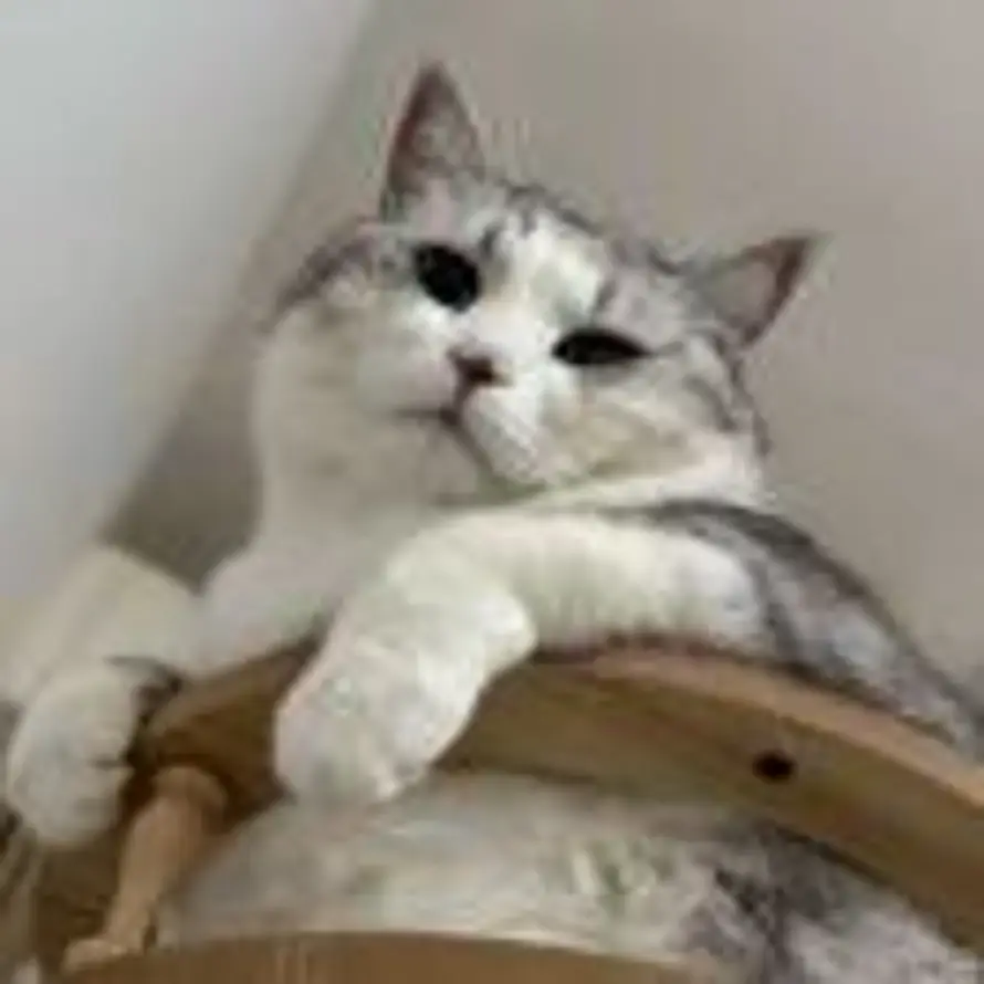 oou的头像