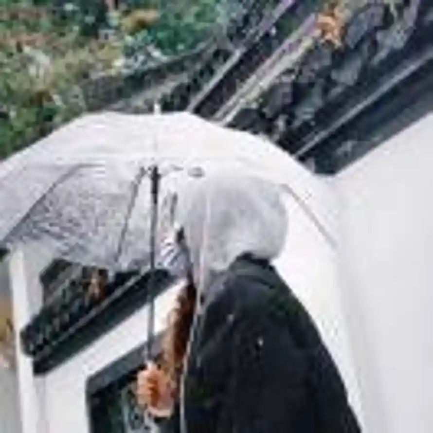 Free Loop的头像
