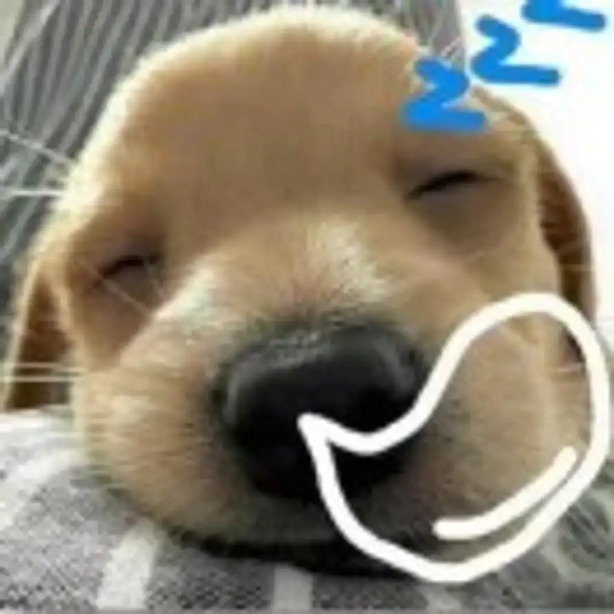 b的头像