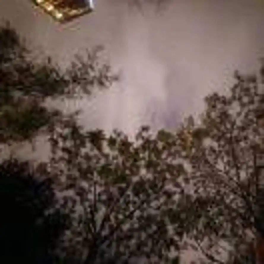 陈杰的头像