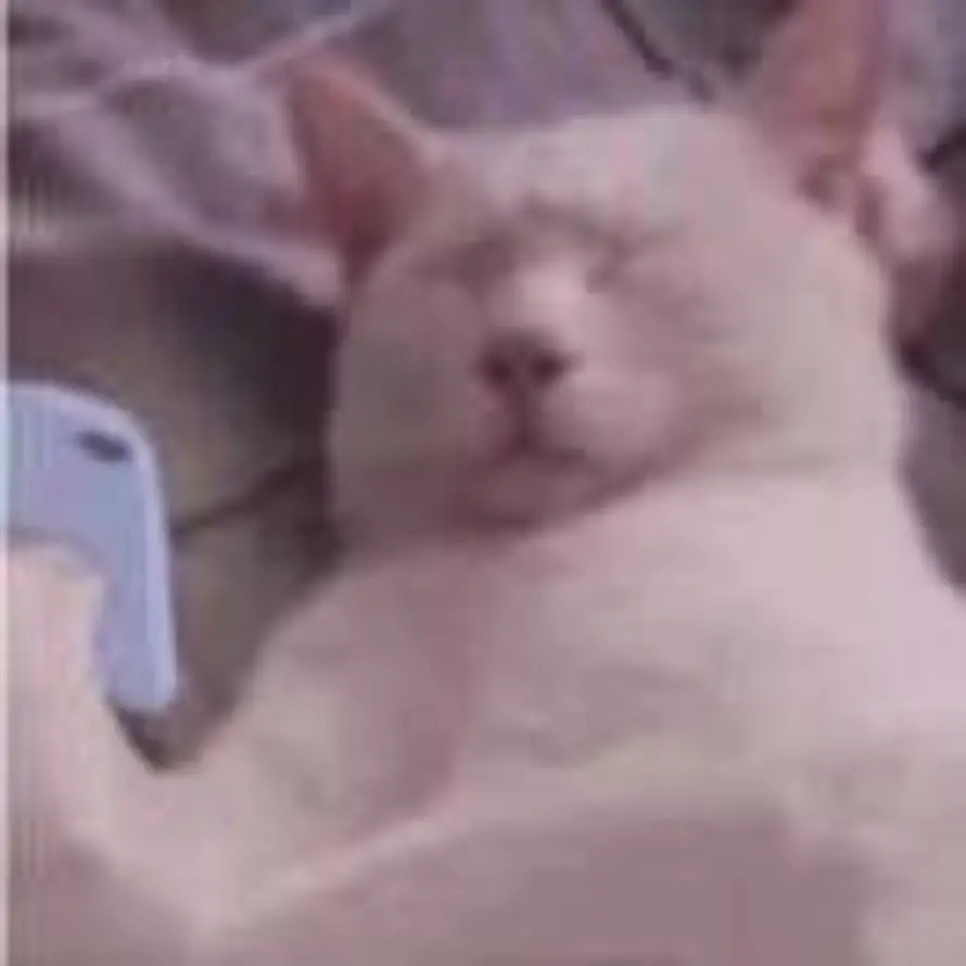 林语一的头像