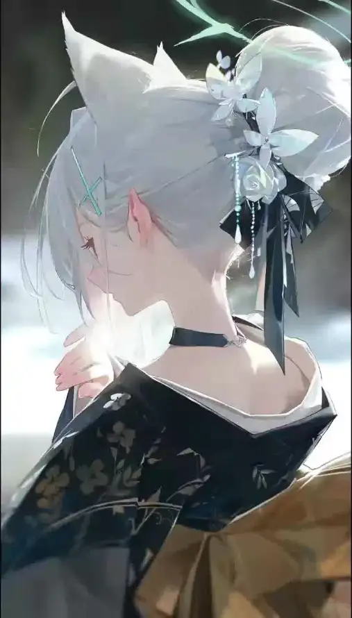 最喜欢的图像