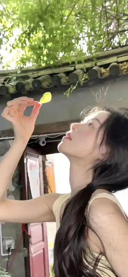 4k休闲壁纸 - 夏日 - 庭院 - 户外「哲风壁纸」