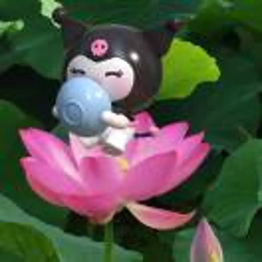 不关西红柿炒鸡蛋的事的头像