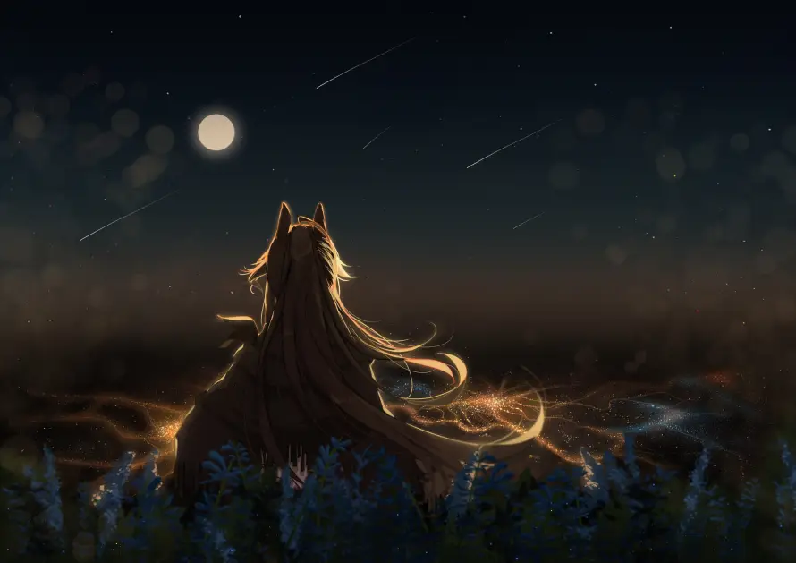 4k兽耳壁纸 - 月夜 - 流星 - 游戏「哲风壁纸」