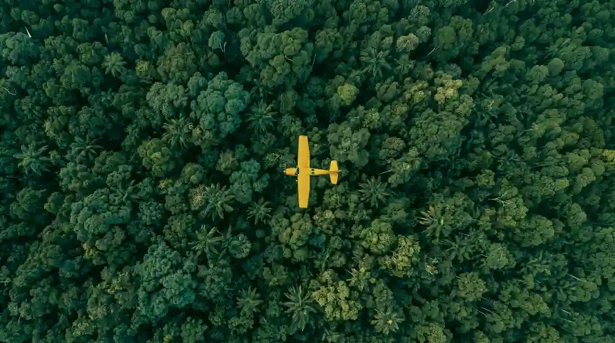 5k丛林壁纸-电影感与高空-热门的壁纸「哲风壁纸」