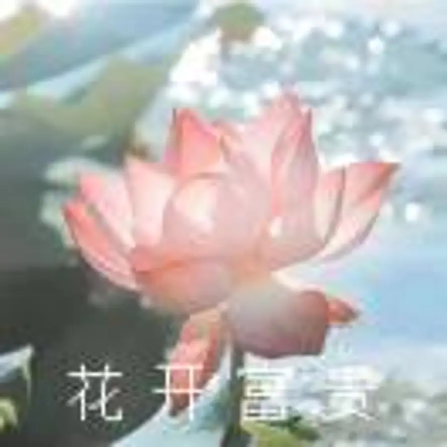 眨巴眨巴眼的头像