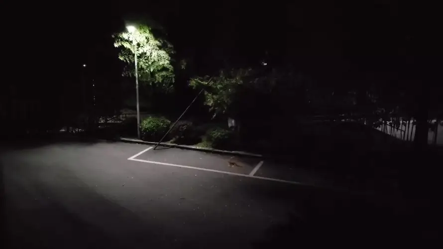 最喜欢的图像
