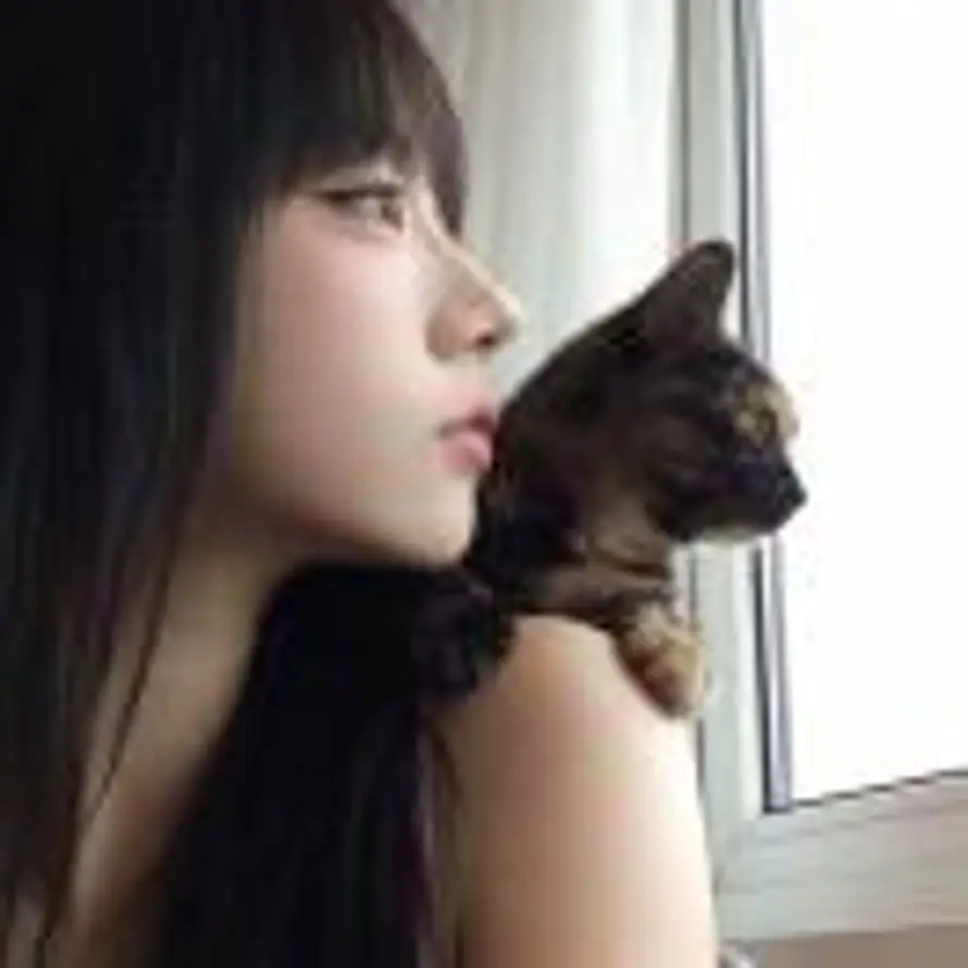 Q的头像
