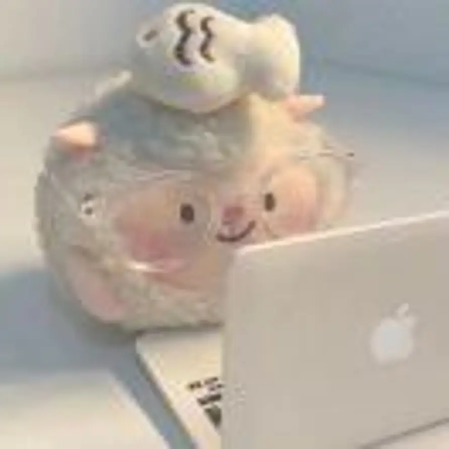 JING的头像
