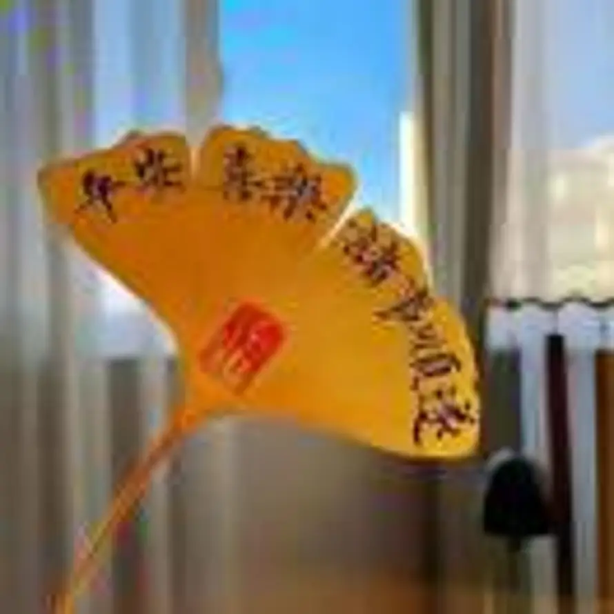 槿的头像