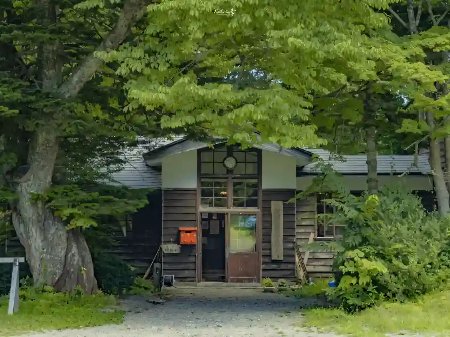 4k大树壁纸 - 小路 - 房屋 - 木屋「哲风壁纸」