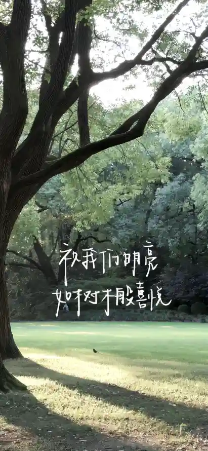 主题背景图片