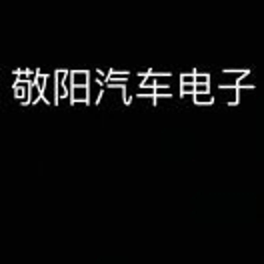 敬阳汽车电子的头像